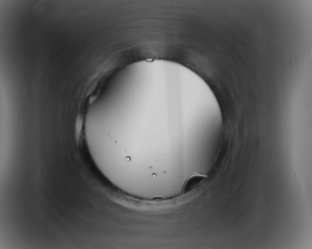 X0000086720027200705041336