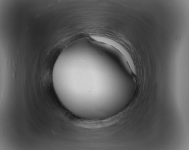 X0000086720029200705041336