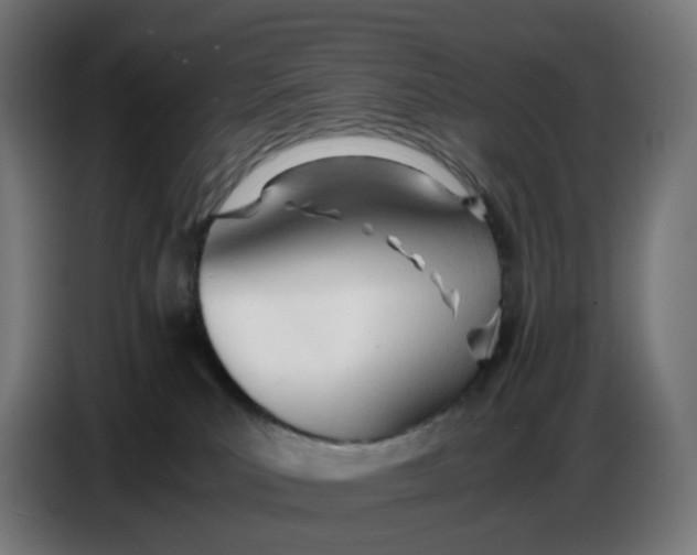 X0000086720039200705041336