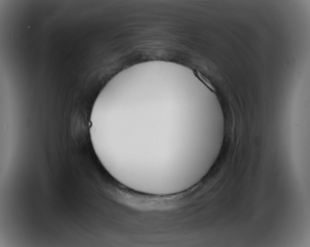 X0000086720040200705041336