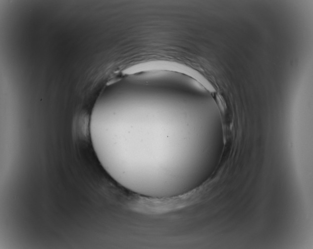 X0000086720041200705041336