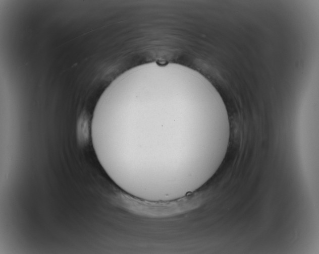 X0000086720042200705041336