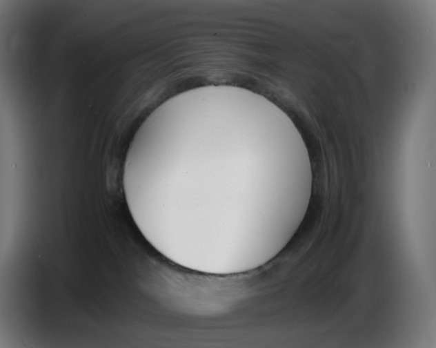 X0000086720044200705041336