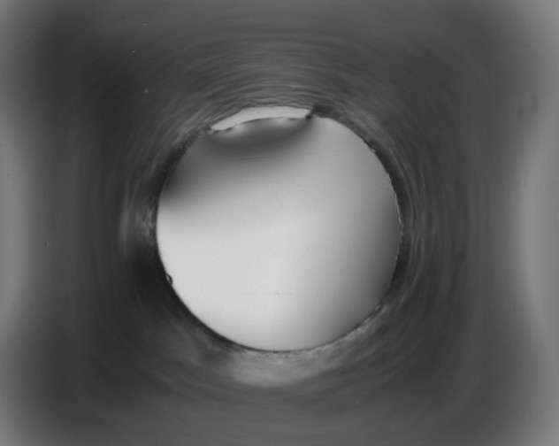 X0000086720045200705041336
