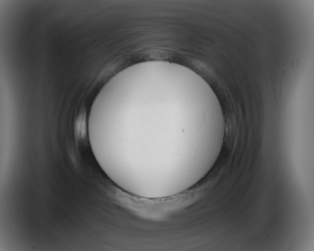 X0000086720046200705041336