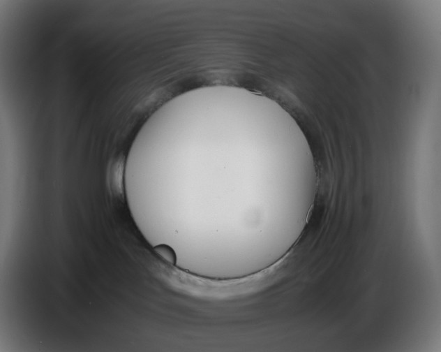 X0000086720047200705041336