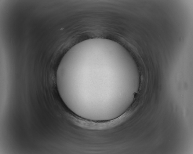 X0000086720048200705041336
