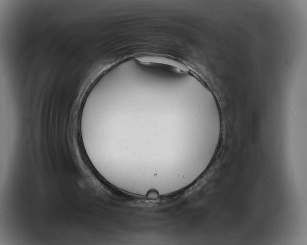 X0000086720049200705041336