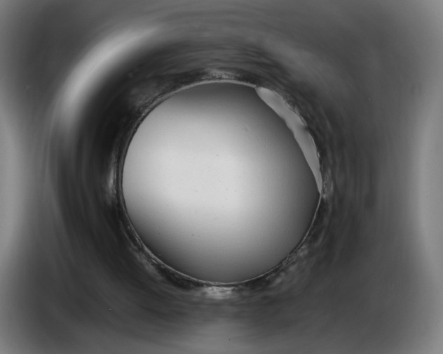 X0000086720052200705041336