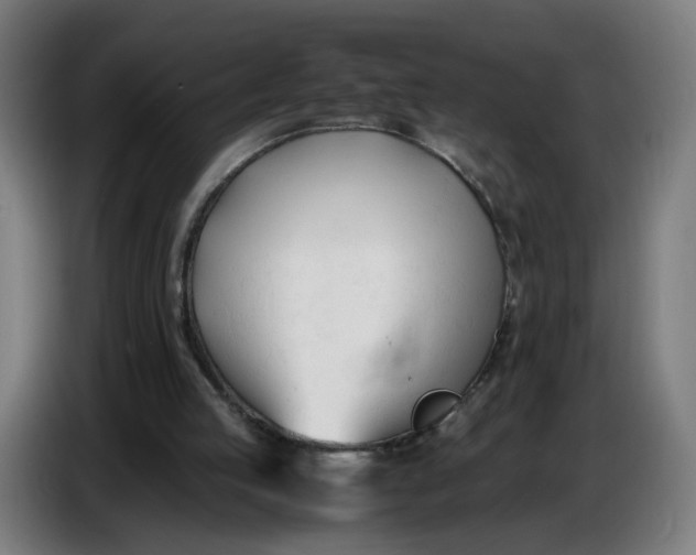 X0000086720053200705041336