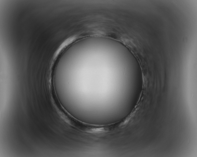 X0000086720054200705041336