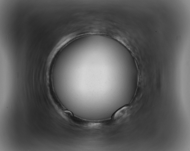 X0000086720055200705041336