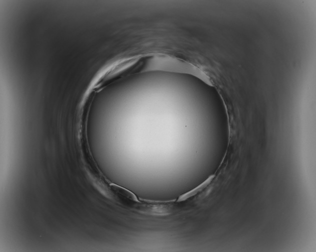 X0000086720056200705041336