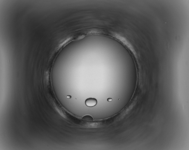 X0000086720057200705041336