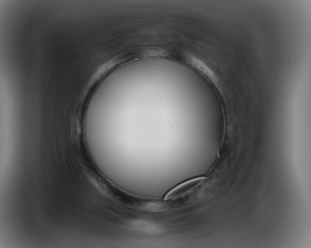 X0000086720059200705041336