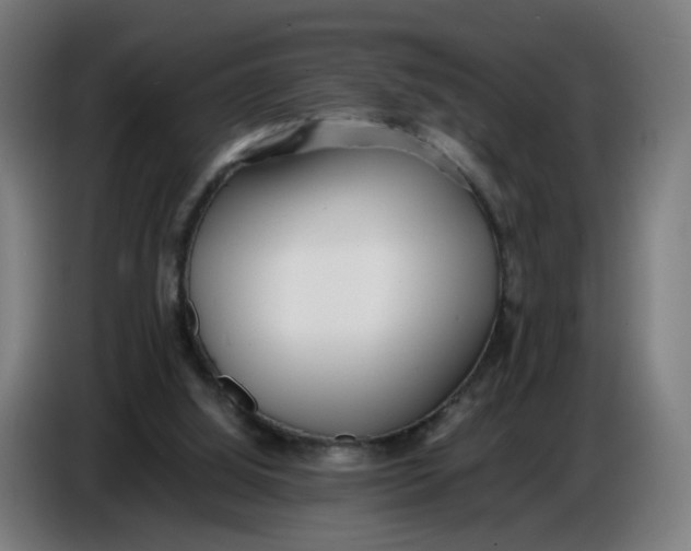 X0000086720060200705041336