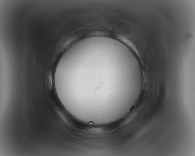X0000086720061200705041336