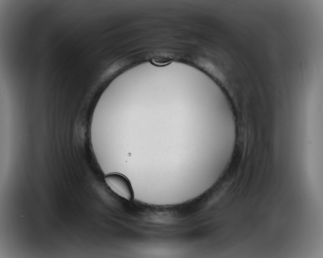X0000086720063200705041336