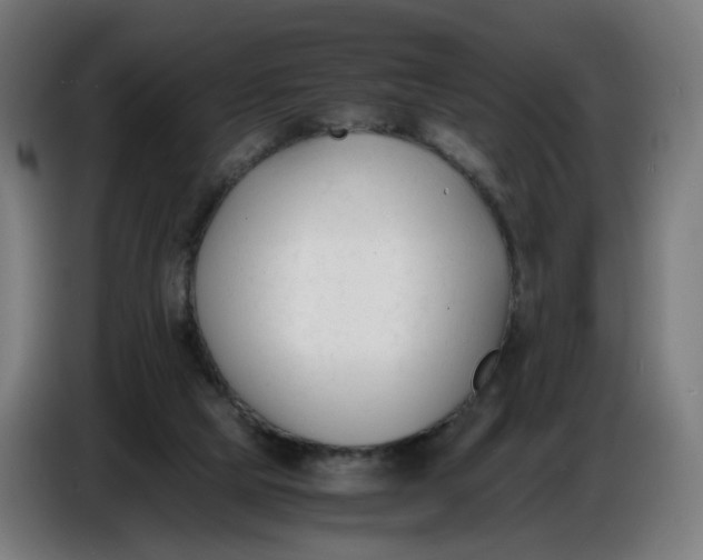 X0000086720065200705041336