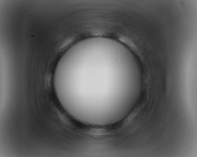 X0000086720066200705041336