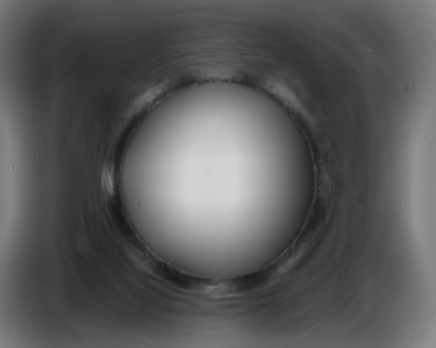 X0000086720068200705041336