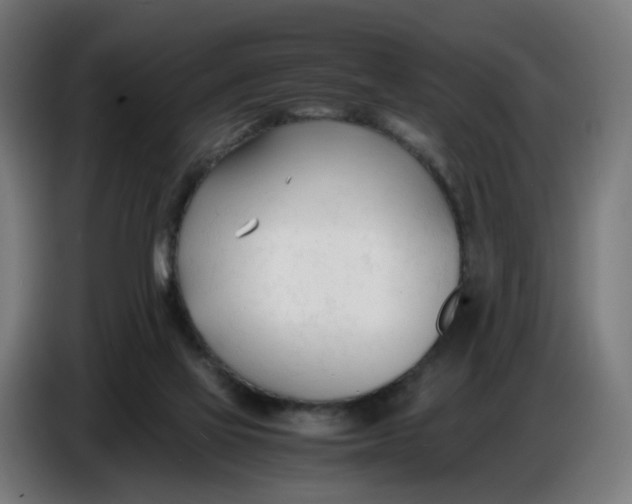 X0000086720069200705041336