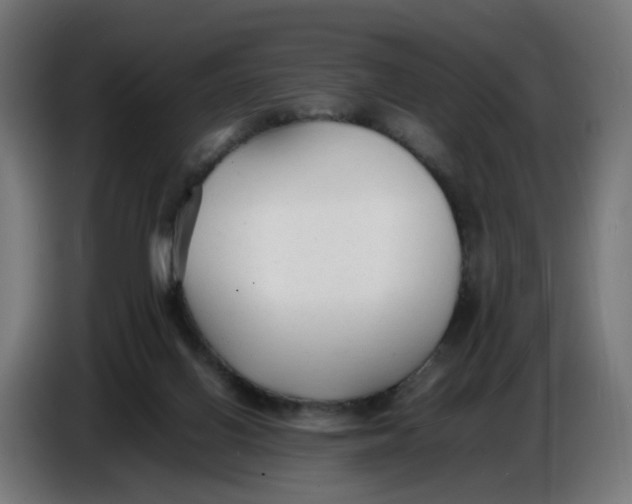 X0000086720070200705041336