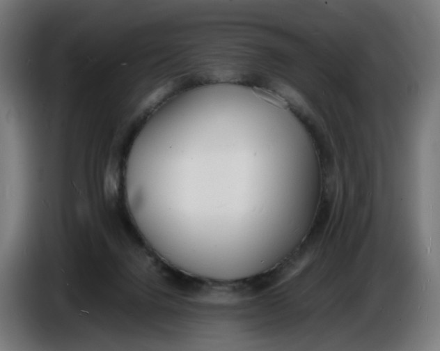 X0000086720072200705041336