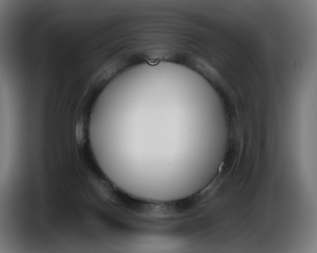 X0000086720074200705041336