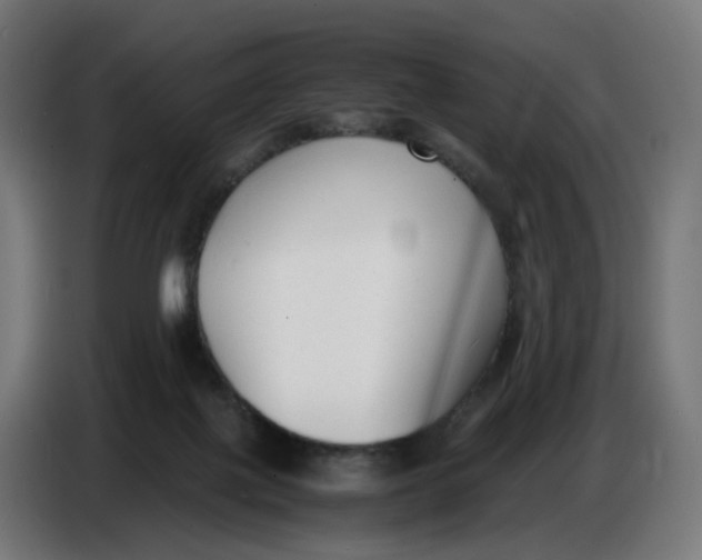 X0000086720075200705041336