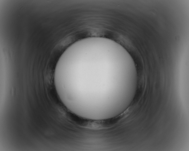 X0000086720078200705041336