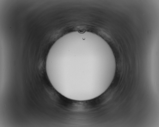 X0000086720079200705041336