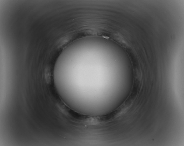X0000086720080200705041336