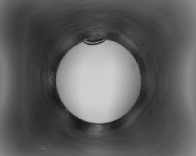 X0000086720083200705041336