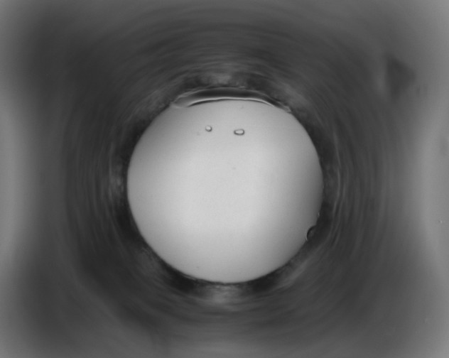 X0000086720085200705041336
