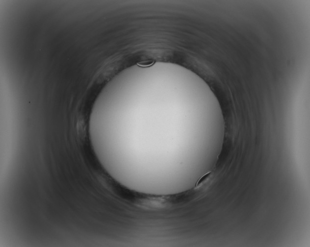 X0000086720086200705041336