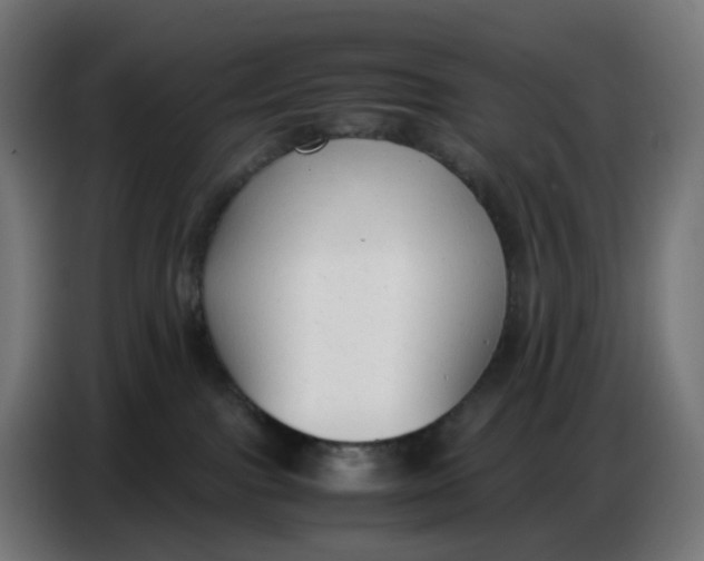 X0000086720091200705041336