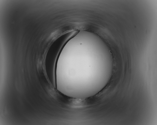 X0000086720096200705041336