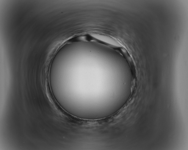 X0000086720097200705041335