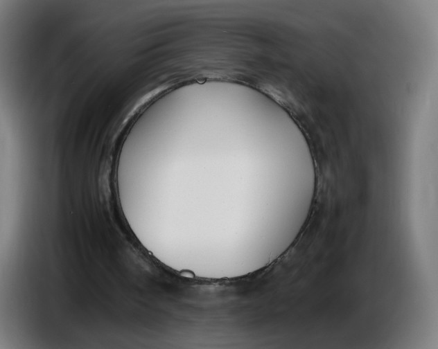 X0000086720098200705041335
