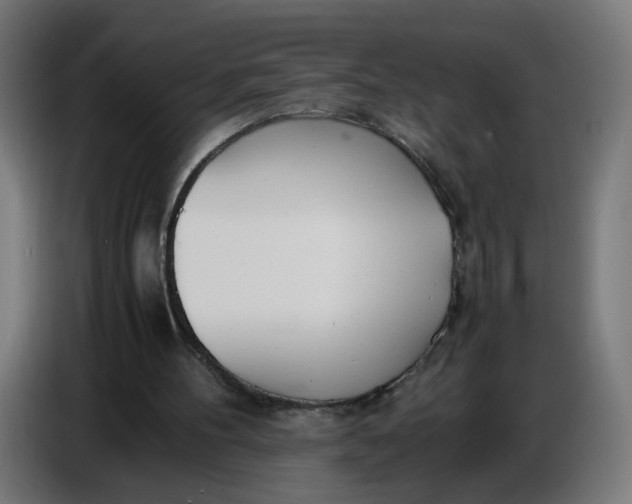 X0000086720100200705041335