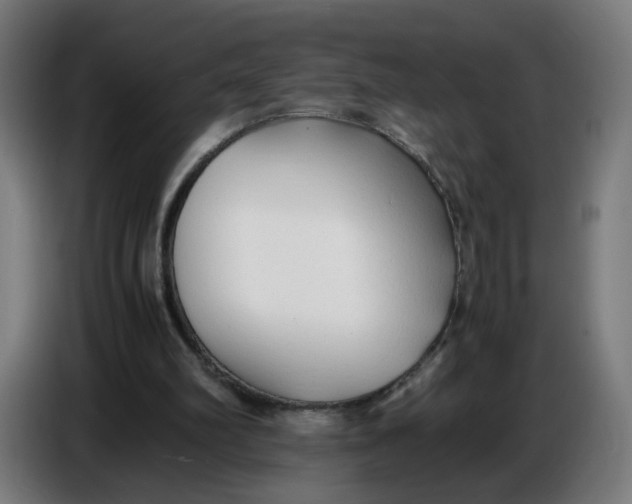 X0000086720102200705041335