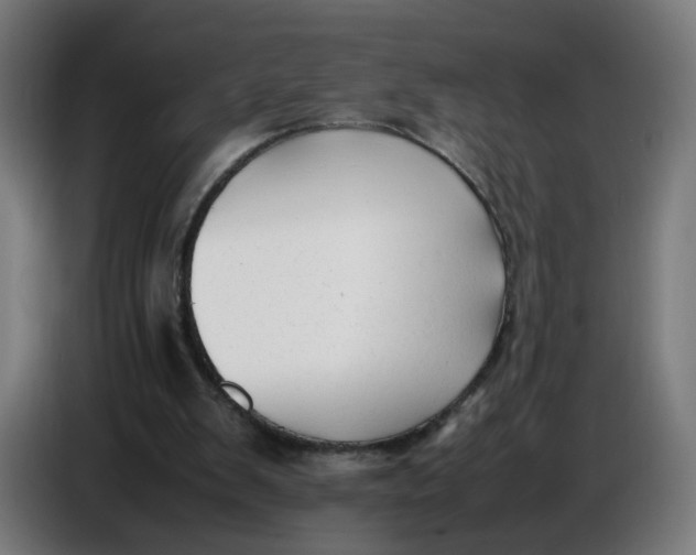 X0000086720103200705041335