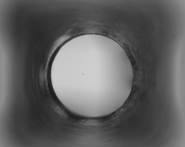 X0000086720104200705041335