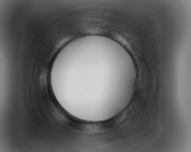 X0000086720106200705041335