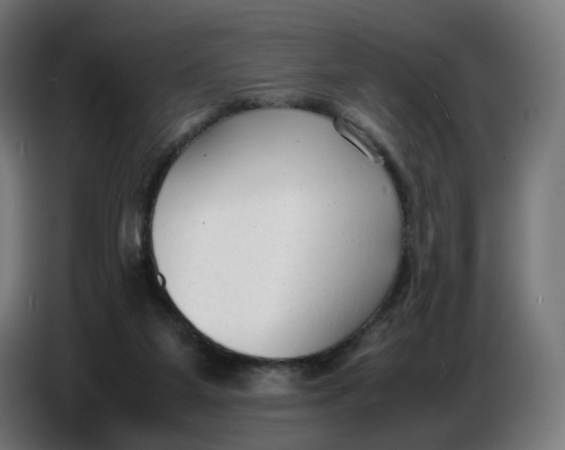 X0000086720115200705041335
