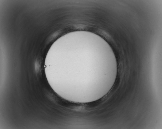 X0000086720116200705041335