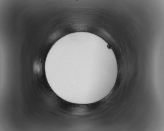X0000086720124200705041335