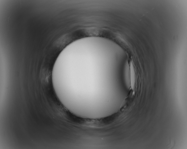 X0000086720125200705041335