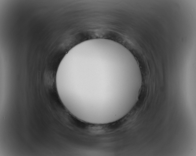 X0000086720129200705041335